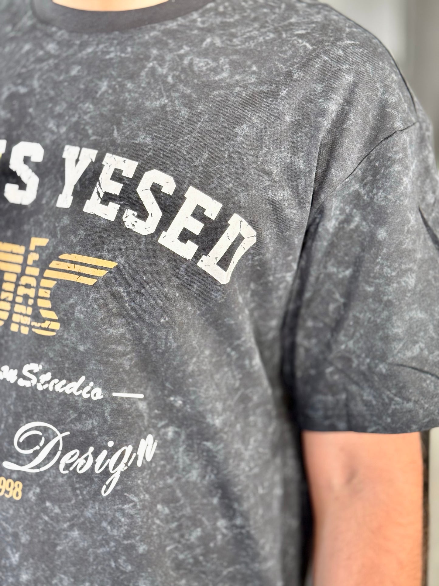 T-shirt grigia con stampa 643