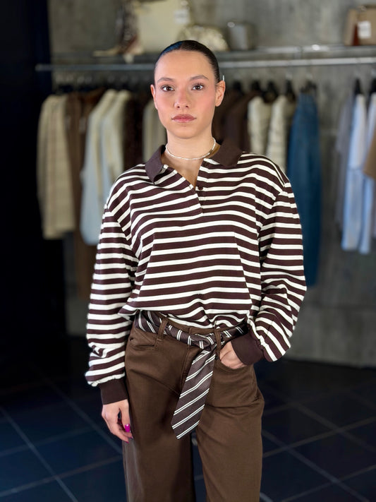 Felpa polo a righe marrone 2209
